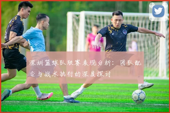 深圳篮球队联赛表现分析：团队配合与战术执行的深度探讨