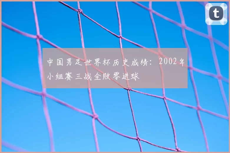 中国男足世界杯历史成绩：2002年小组赛三战全败零进球