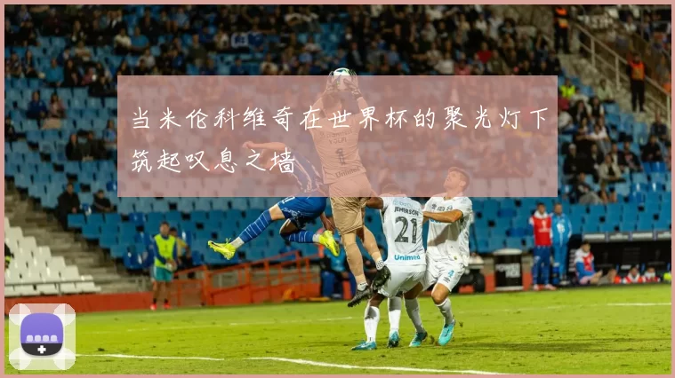 当米伦科维奇在世界杯的聚光灯下筑起叹息之墙