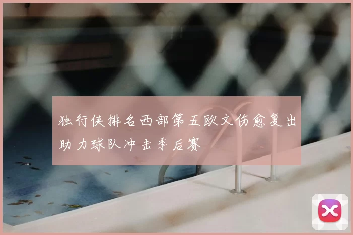 独行侠排名西部第五欧文伤愈复出助力球队冲击季后赛