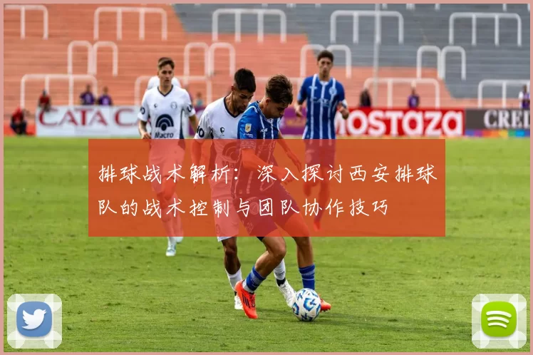 排球战术解析：深入探讨西安排球队的战术控制与团队协作技巧