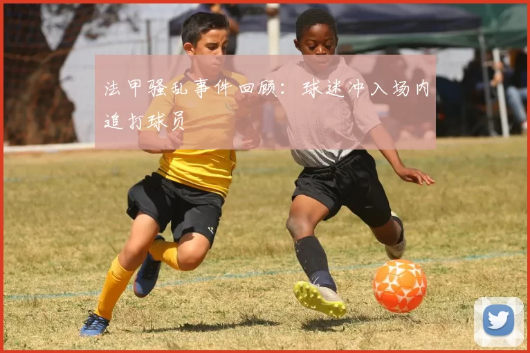 法甲骚乱事件回顾：球迷冲入场内追打球员
