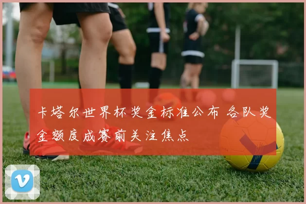 卡塔尔世界杯奖金标准公布 各队奖金额度成赛前关注焦点