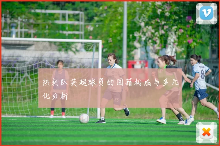 热刺队英超球员的国籍构成与多元化分析