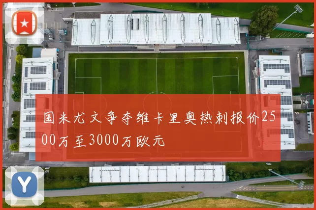 国米尤文争夺维卡里奥热刺报价2500万至3000万欧元