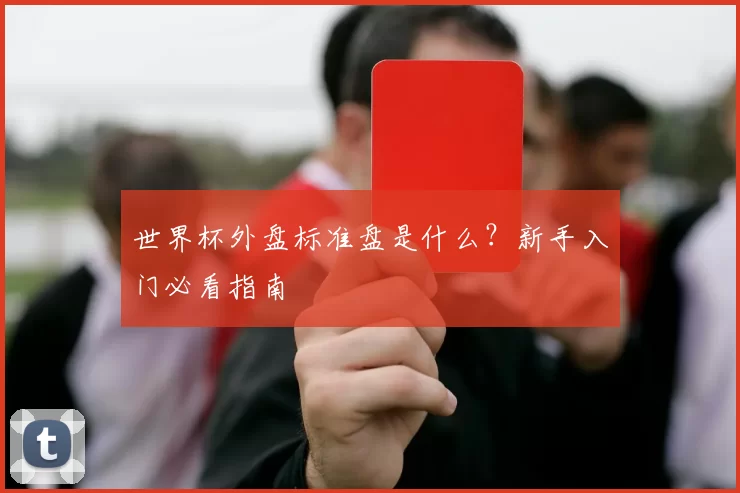 世界杯外盘标准盘是什么?新手入门必看指南