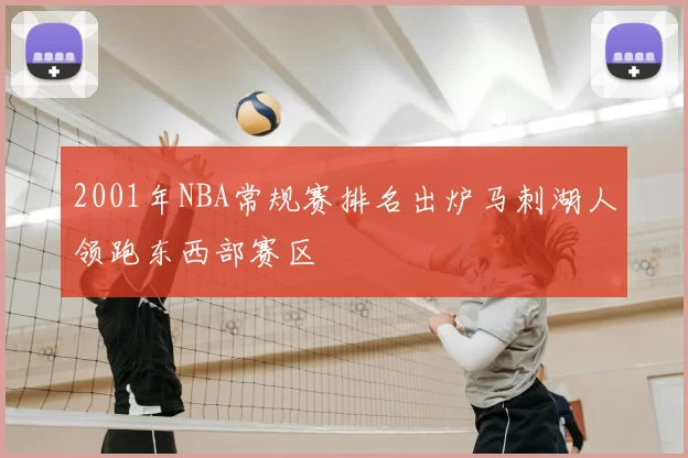 2001年NBA常规赛排名出炉马刺湖人领跑东西部赛区