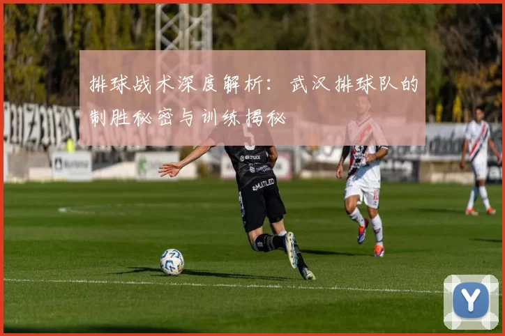 排球战术深度解析:武汉排球队的制胜秘密与训练揭秘