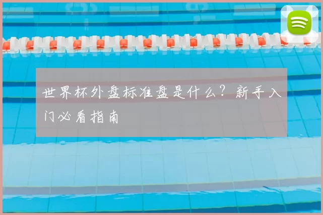 世界杯外盘标准盘是什么?新手入门必看指南